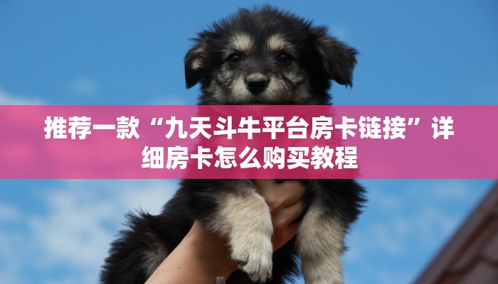 推荐一款“微信炸金花链接房卡在哪里弄”详细房卡怎么购买教程