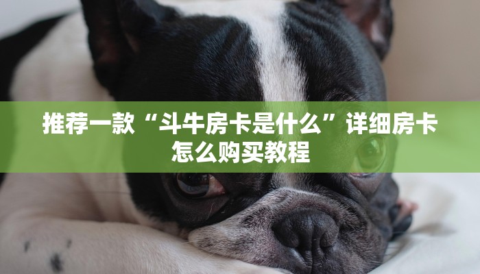 推荐一款“斗牛房卡是什么”详细房卡怎么购买教程