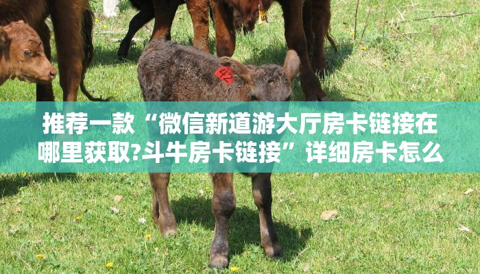 推荐一款“微信新道游大厅房卡链接在哪里获取?斗牛房卡链接”详细房卡怎么购买教程