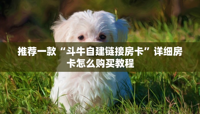 推荐一款“斗牛自建链接房卡”详细房卡怎么购买教程