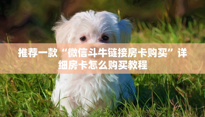 推荐一款“微信斗牛链接房卡购买”详细房卡怎么购买教程