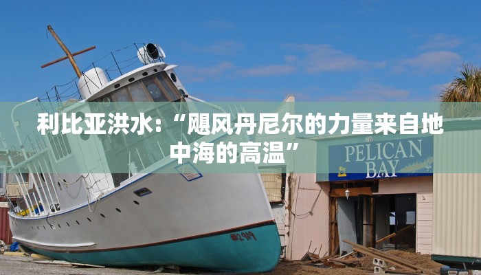全国法院疫情判例最新/全国法院案件信息查询平台