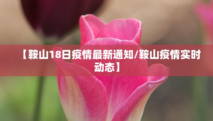 【鞍山18日疫情最新通知/鞍山疫情实时动态】