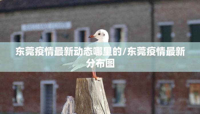 东莞疫情最新动态哪里的/东莞疫情最新分布图