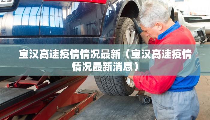 宝汉高速疫情情况最新（宝汉高速疫情情况最新消息）