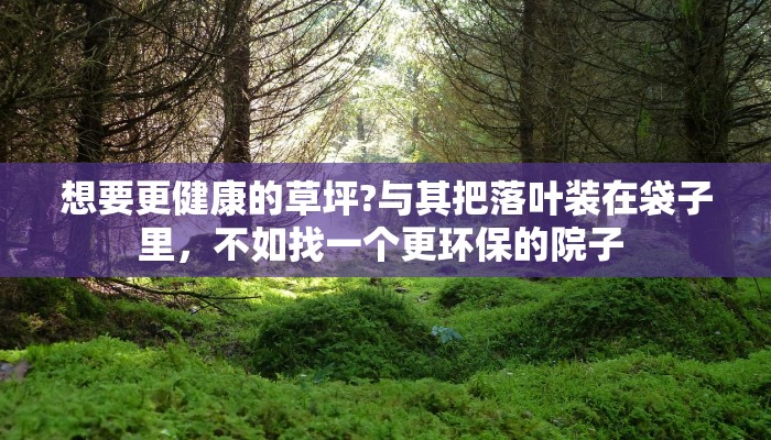 新宁最新疫情有多少例/新宁县疫情通报