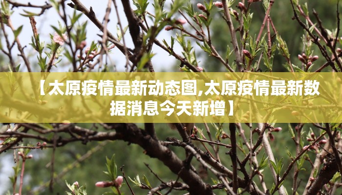 厄瓜多尔最新疫情发布会/厄瓜多尔疫情最新数据
