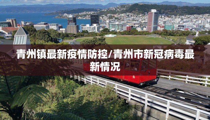 安庆最新疫情流调表（安庆最新新冠疫情通报）