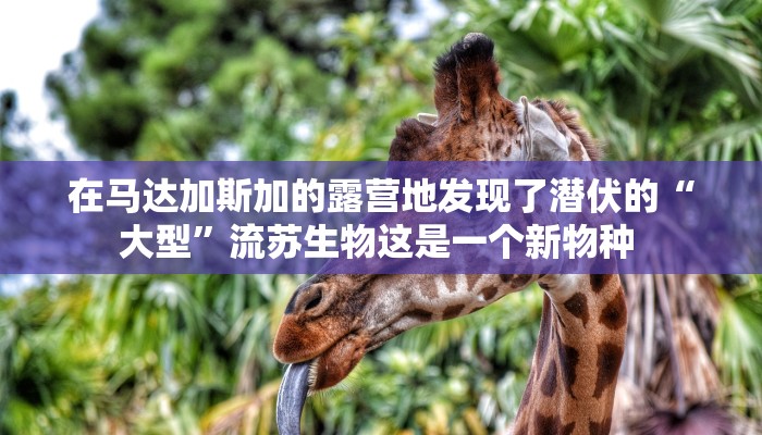 【洛阳到海口疫情政策最新/洛阳到海口开车要多久】