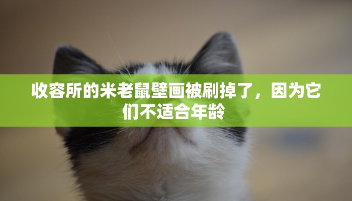 西安11号最新疫情轨迹:西安疫情防控最新通知11月