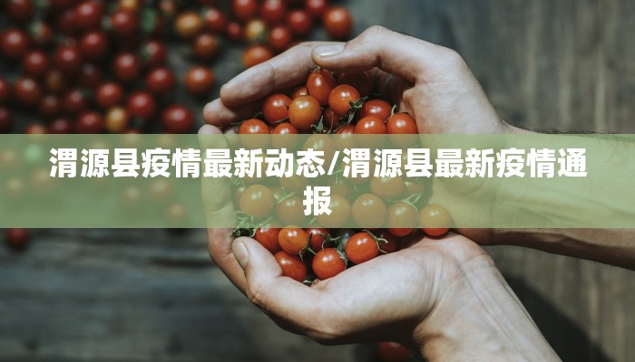 丛台区疫情防控措施最新/丛台区防疫指挥部电话