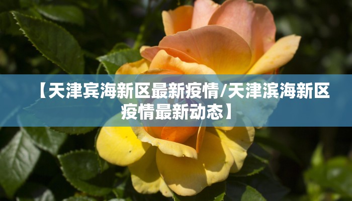 【天津宾海新区最新疫情/天津滨海新区疫情最新动态】