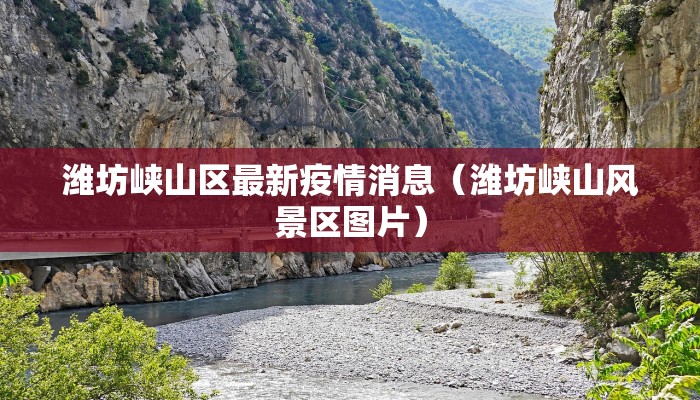 【最新山东疫情重症表现,山东最新确诊病例情况】