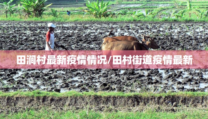 枣庄疫情管控区域最新/枣庄最新疫情防控公告