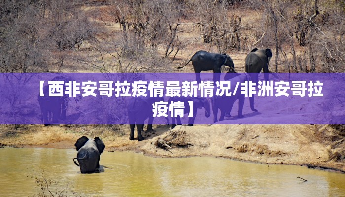 【西非安哥拉疫情最新情况/非洲安哥拉疫情】