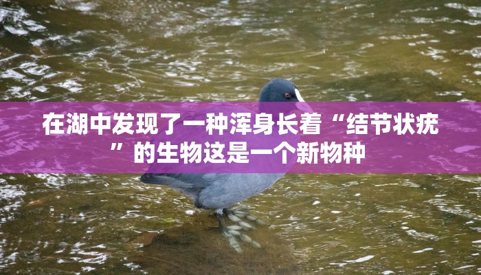 容县新冠最新疫情情况:容县最新消息