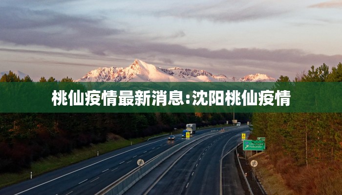 桃仙疫情最新消息:沈阳桃仙疫情