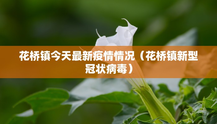 马关疫情防控最新公告/马关最新新闻