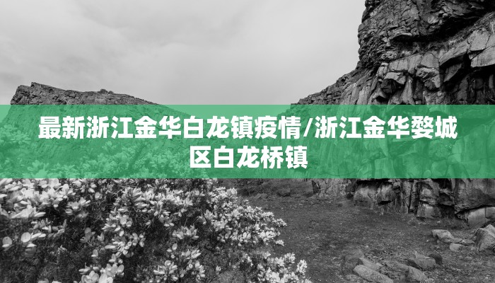 最新浙江金华白龙镇疫情/浙江金华婺城区白龙桥镇