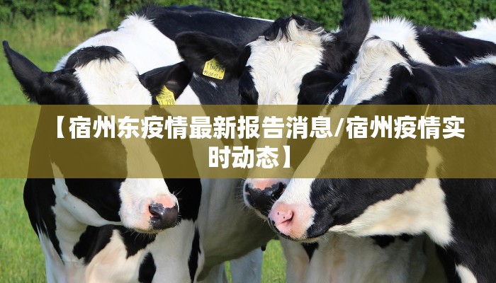 【宿州东疫情最新报告消息/宿州疫情实时动态】