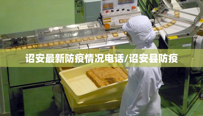 【澳门最新有疫情吗今天,澳门最新疫情防控消息】