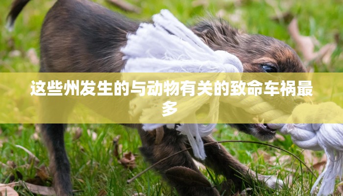 【东莞石碣最新疫情通告图/东莞石碣最新新闻】