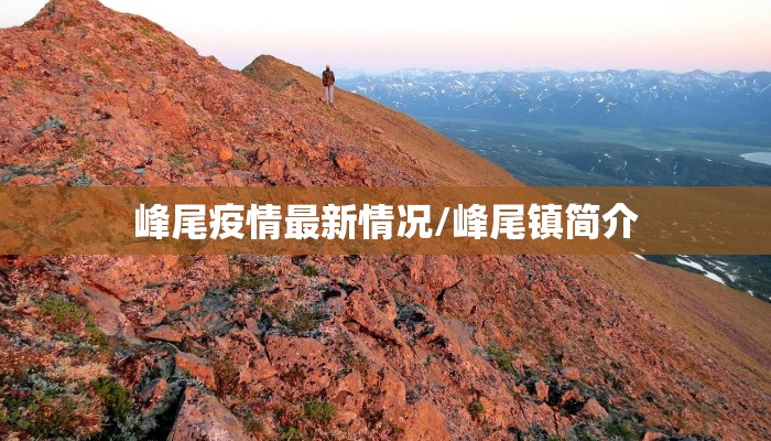 峰尾疫情最新情况/峰尾镇简介