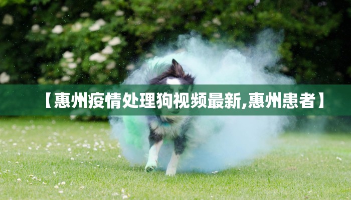 【惠州疫情处理狗视频最新,惠州患者】