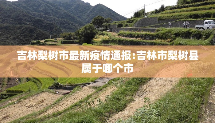 吉林梨树市最新疫情通报:吉林市梨树县属于哪个市