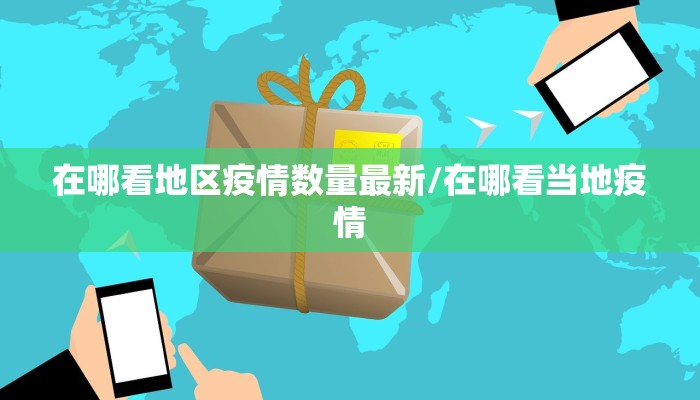 在哪看地区疫情数量最新/在哪看当地疫情