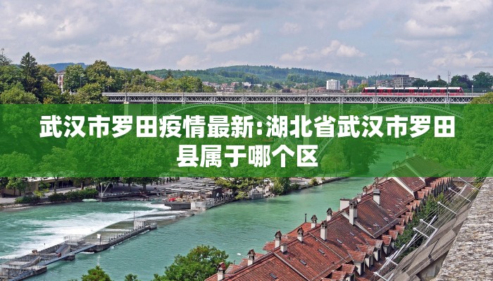武汉市罗田疫情最新:湖北省武汉市罗田县属于哪个区