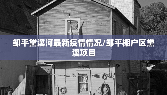 邹平黛溪河最新疫情情况/邹平棚户区黛溪项目