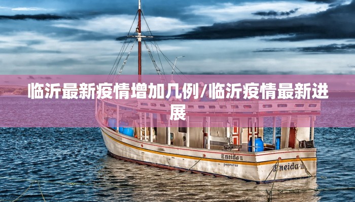 临沂最新疫情增加几例/临沂疫情最新进展