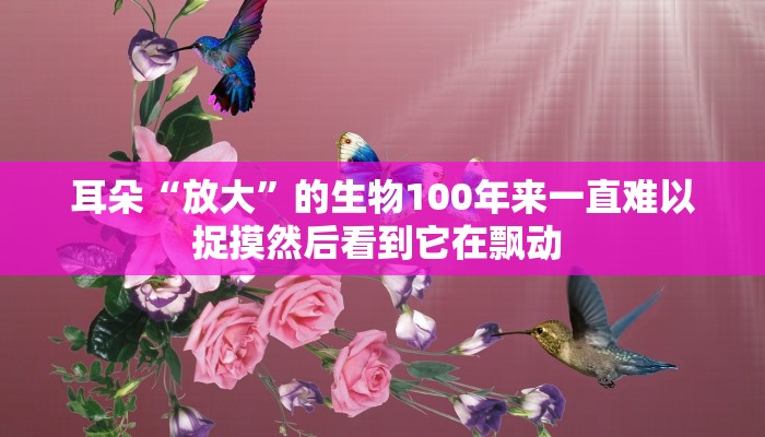 最新疫情云南昆明通报:疫情最新消息今天昆明疫情