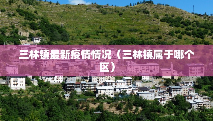 三林镇最新疫情情况（三林镇属于哪个区）