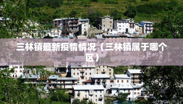 三林镇最新疫情情况（三林镇属于哪个区）