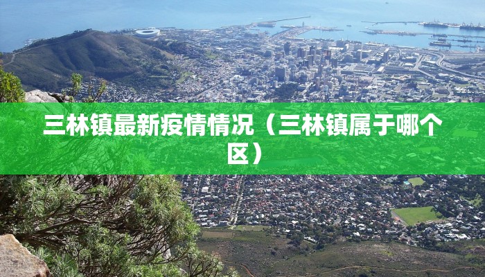 三林镇最新疫情情况（三林镇属于哪个区）