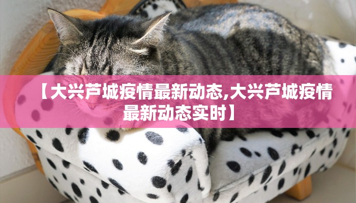 【大兴芦城疫情最新动态,大兴芦城疫情最新动态实时】