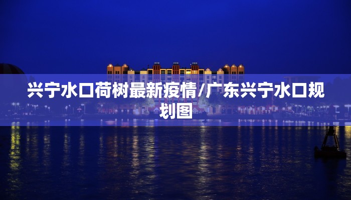 兴宁水口荷树最新疫情/广东兴宁水口规划图