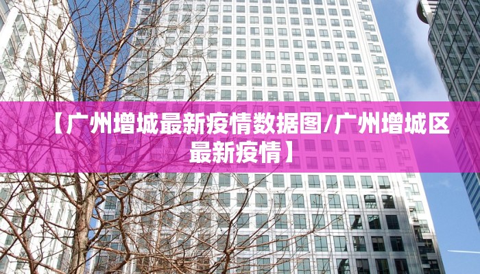 兴宁水口荷树最新疫情/广东兴宁水口规划图