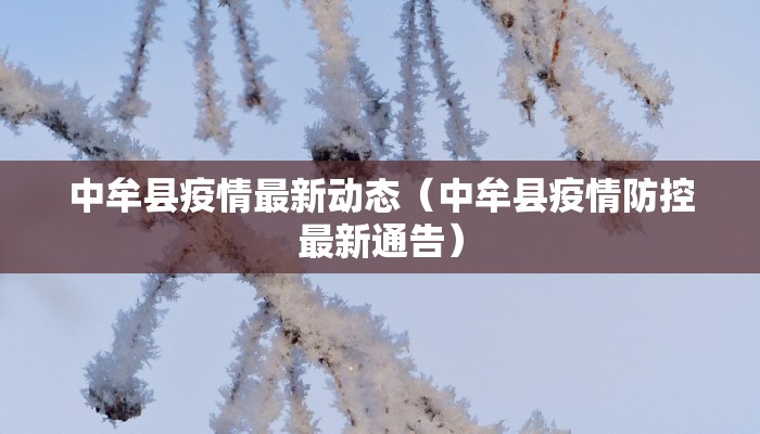 吴江最新疫情隔离政策（吴江区隔离政策）