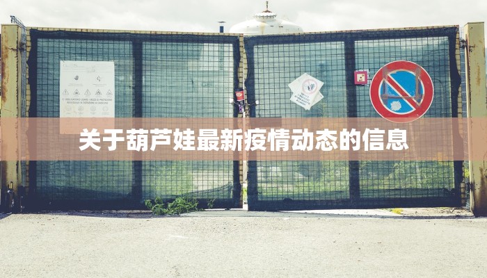关于葫芦娃最新疫情动态的信息