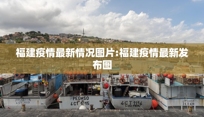 福建疫情最新情况图片:福建疫情最新发布图