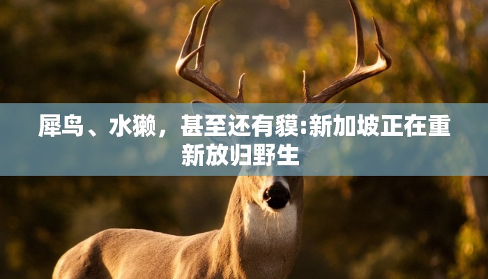 进出北京最新疫情防控/进出北京最新规定814