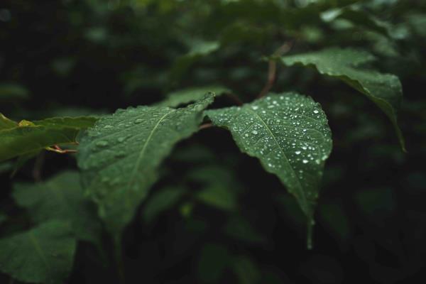 【最新疫情上海更新情况/最新疫情上海更新情况如何】