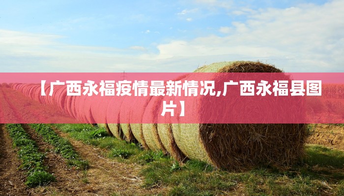 西宁疫情最新通告共多少/西宁疫情最新通告共多少例了