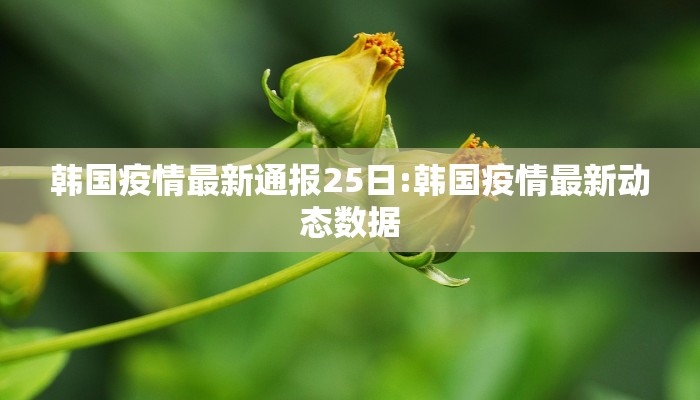 韩国疫情最新通报25日:韩国疫情最新动态数据