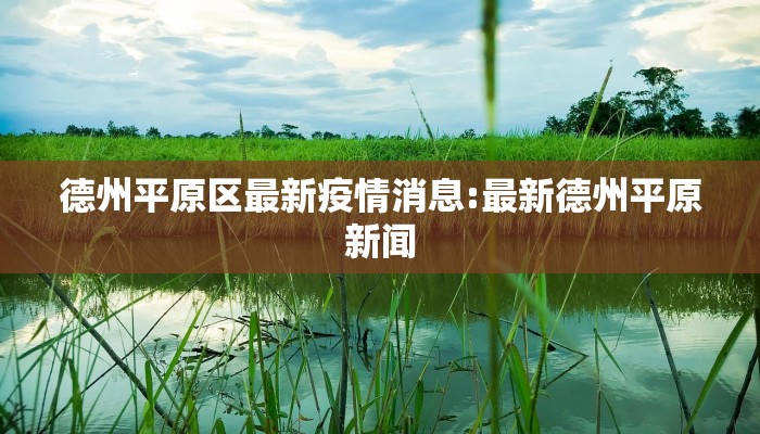 德州平原区最新疫情消息:最新德州平原新闻