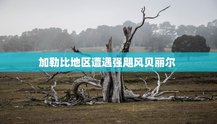 疫情最新报告山东城阳区/城阳最新新冠病例