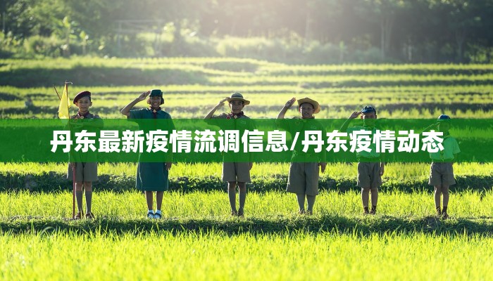 丹东最新疫情流调信息/丹东疫情动态